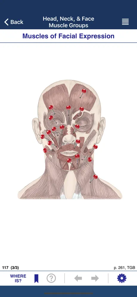 AnatomyMapp Lite