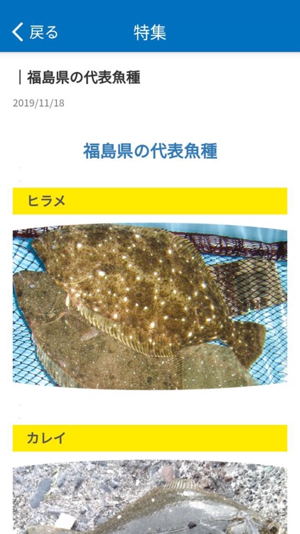 ふくしま魚っち本舗 screenshot-3