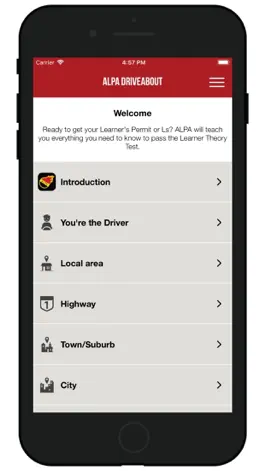 Game screenshot ALPA DriveAbout apk