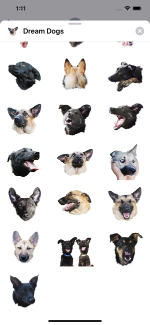 Dream Dogs Sticker Pack(圖2)-速報App