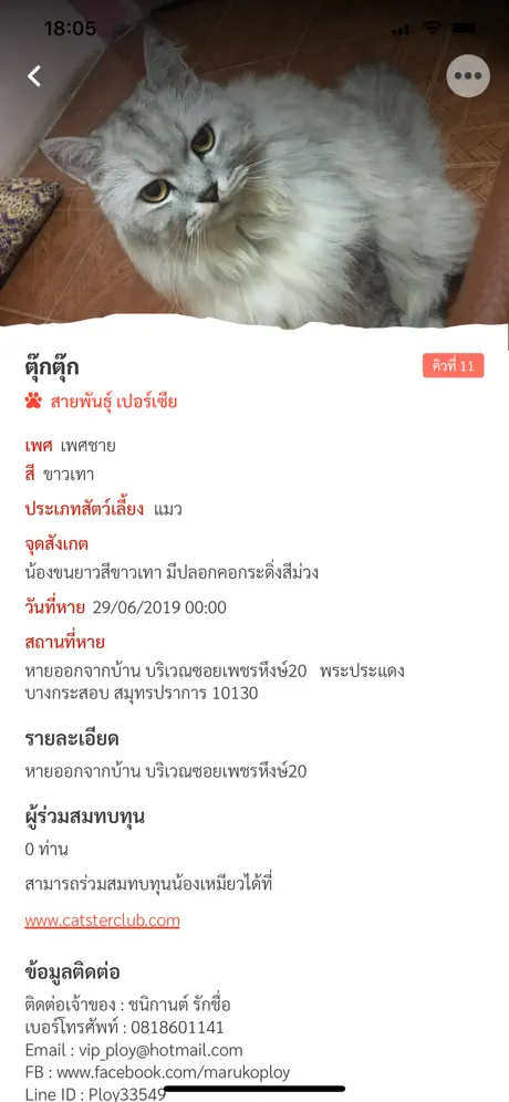 Catster