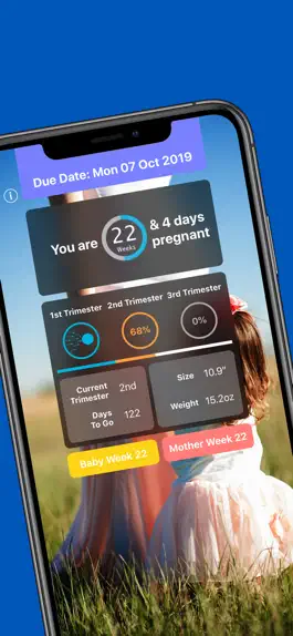 Game screenshot Pregnancy Today - Baby Tracker mod apk