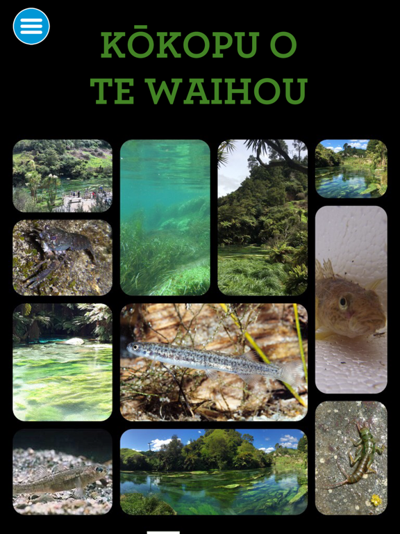 Screenshot #4 pour Kōkopu o te Waihou