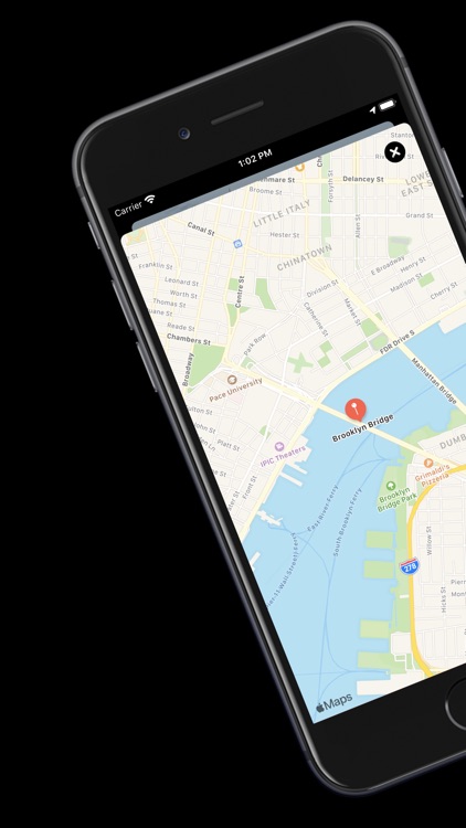 Go 2 NYC screenshot-4