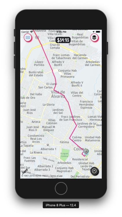 TaxiCDMX screenshot-8