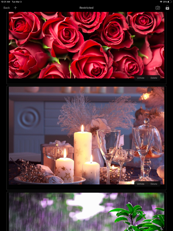 Restricted & Private Browser iPad screenshot 6 - Utilities app