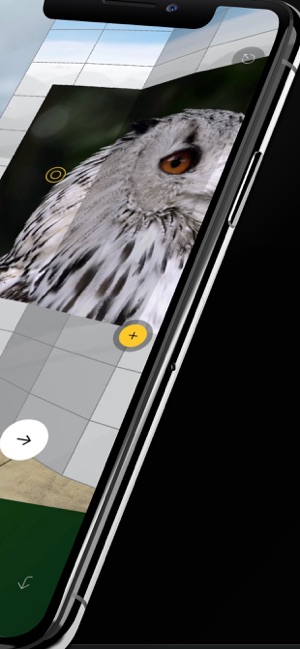 Arvie - AR Video Walls(圖2)-速報App