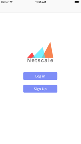 NetScale screenshot