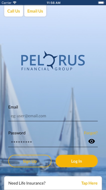 Pelorus Financial