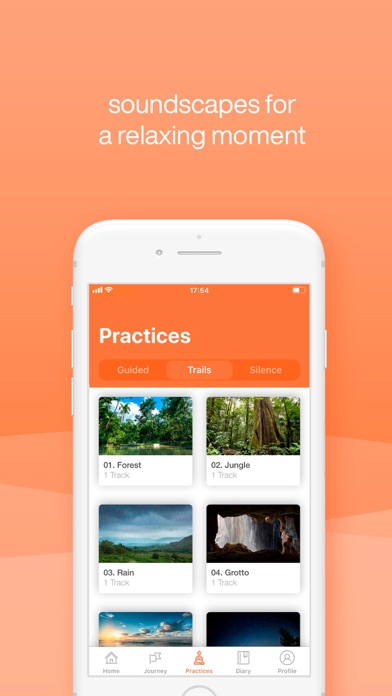 Screenshot #3 pour Meditation Natura