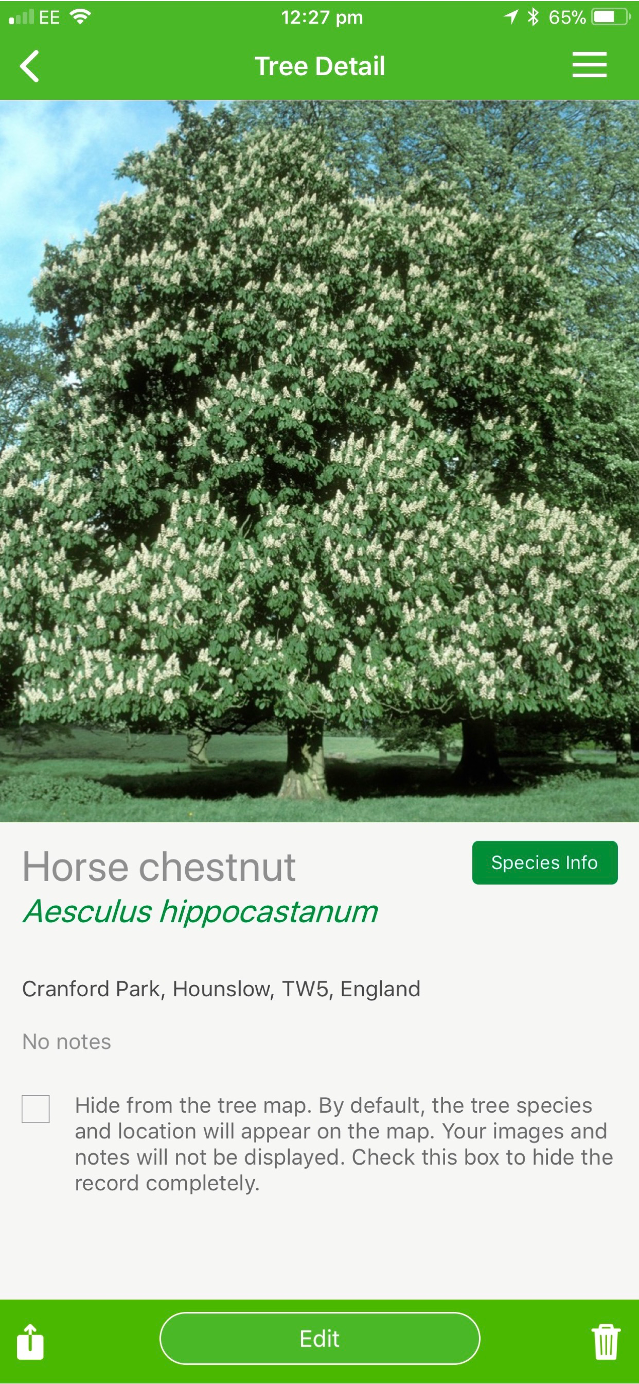 British tree identification