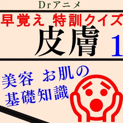 Drアニメ皮膚講座:猛勉強前にお肌の構造から知識付け〜プロ級 Читы