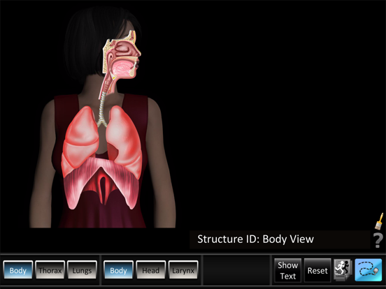Screenshot #4 pour Respiration ID