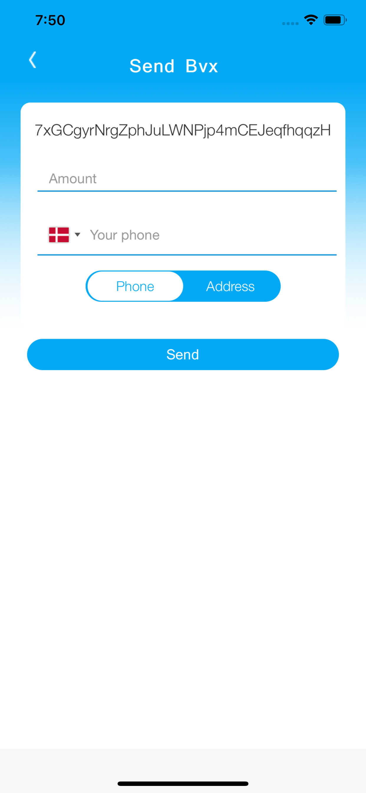 Puut Wallet