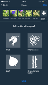 Flora Capture screenshot