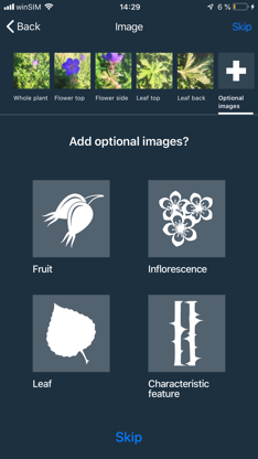 Flora Capture screenshot 4