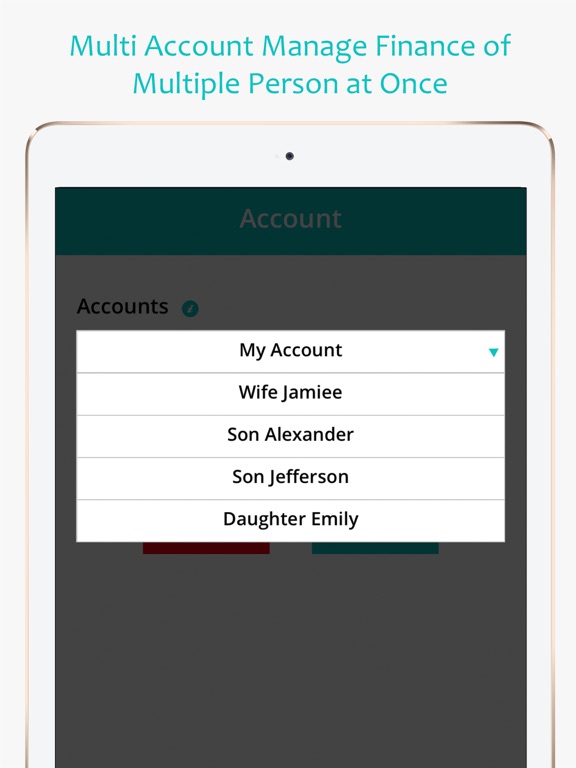 Money Expense Manager iPad screenshot 6 - Finance app