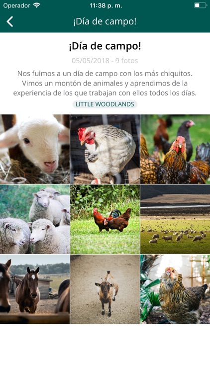 Woodlands School - UY