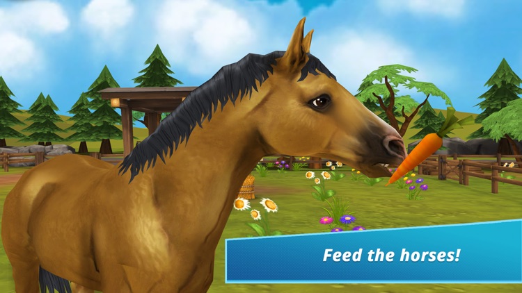 Horse Hotel - care for horses screenshot-5