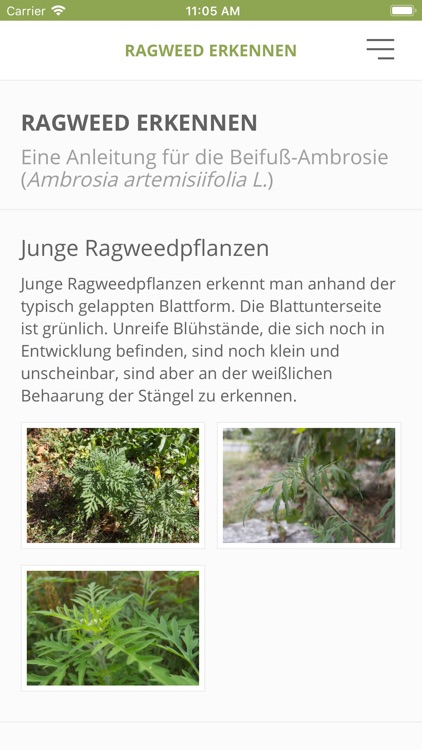 Ragweed Finder screenshot-4