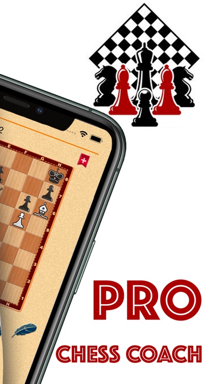 Chess puzzles kids & beginners