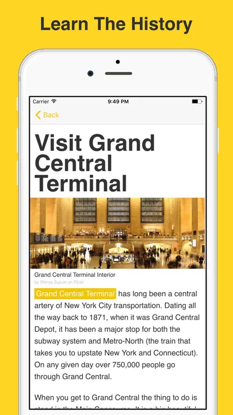 Obvious NYC ~ Travel Guide