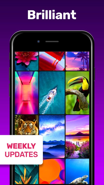 Live Wallpaper 。 screenshot-4
