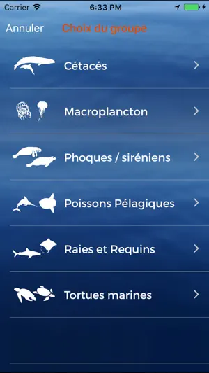 ObsEnMer screenshot 2