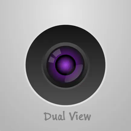 Dual View Cheats