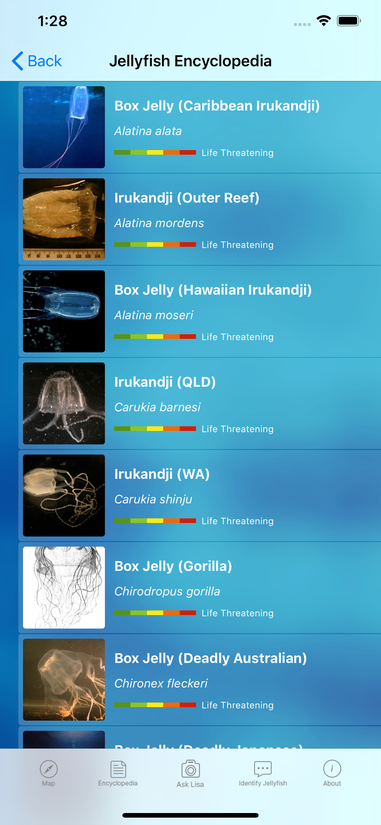 The Jellyfish App Pro