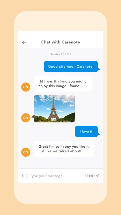 Carenote screenshot-3