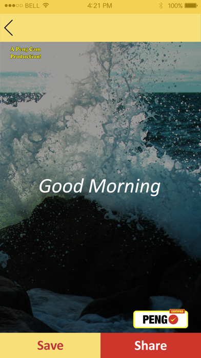 Screenshot #3 pour Peng Cam