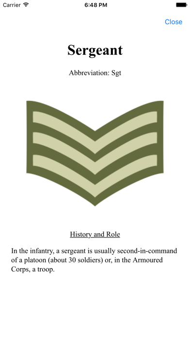 Army Insignia Screenshot