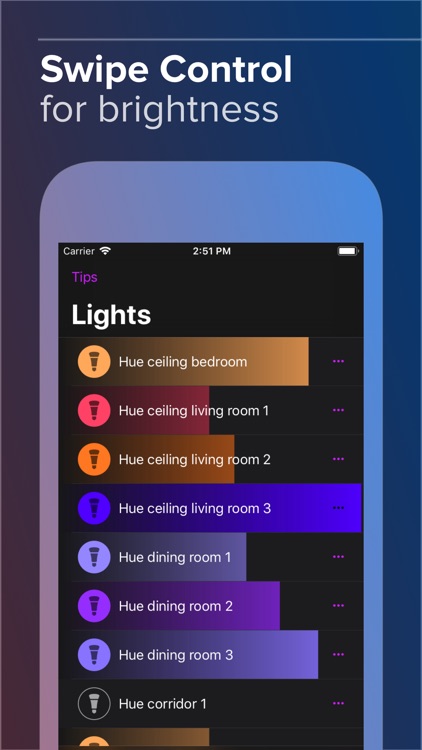 Hue Widget screenshot-3