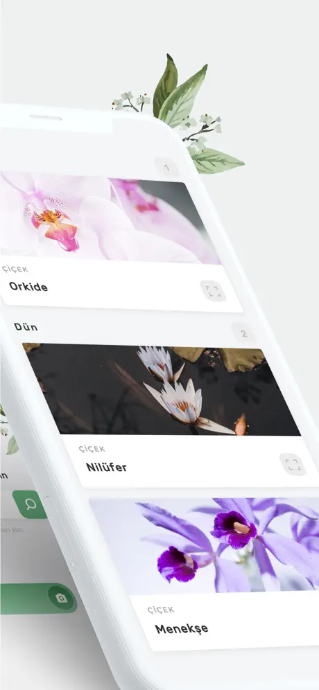 Botanis -Plant Identifier