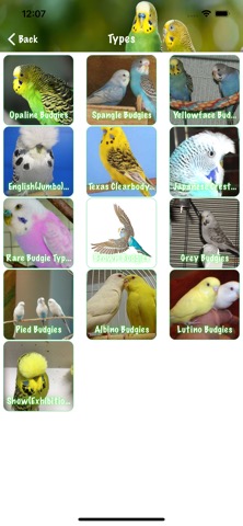 Budgie Bookのおすすめ画像4