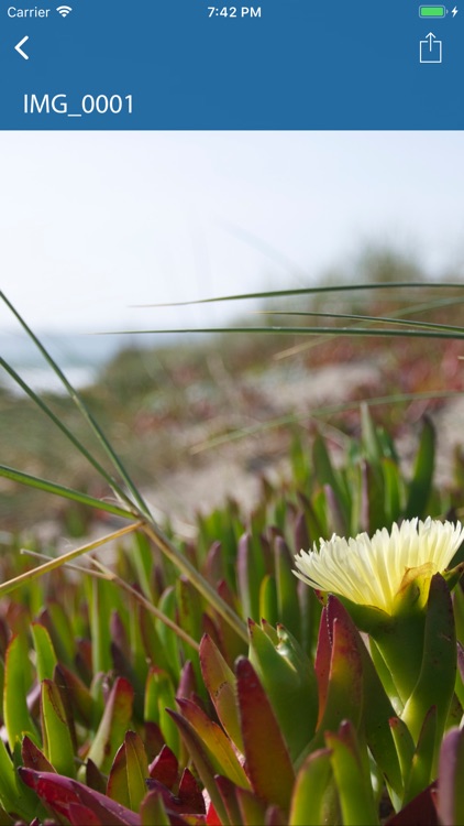 Zip&Rar - Extract Your Files