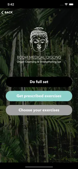 Game screenshot Bodhi Medical Qigong apk