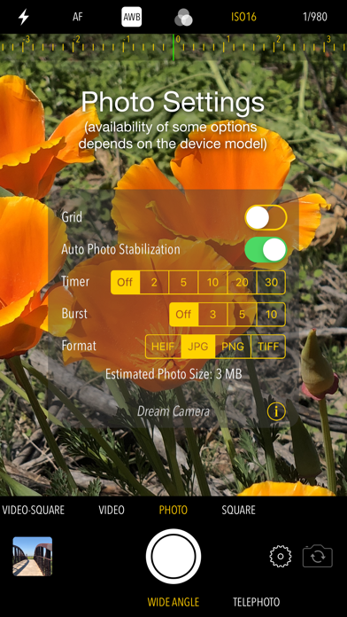 Screenshot #3 pour Dream Camera Lite