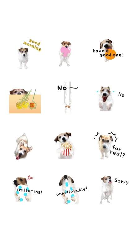 Jack Russell Animation 1 screenshot-4