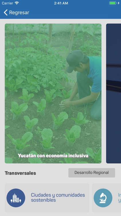 SSED: Seguimiento y Evaluación screenshot-4