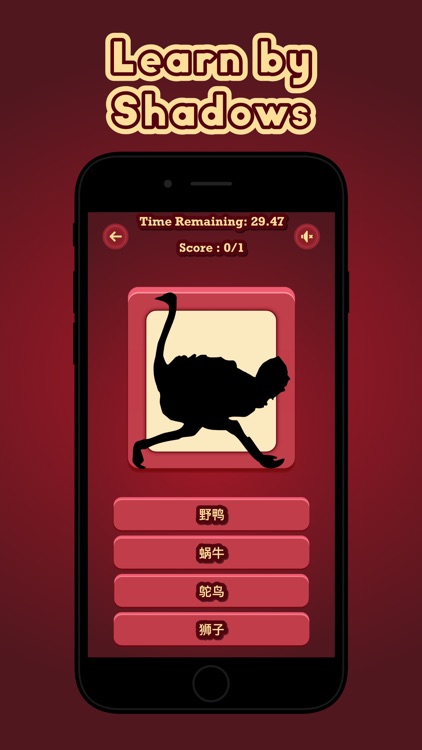 Guess The Animal - Chinese