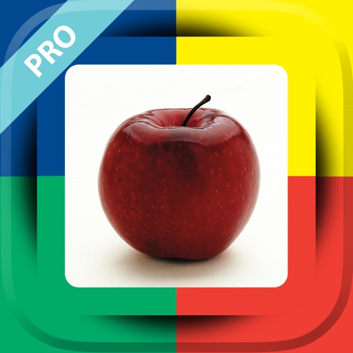 Language Builder® Pro