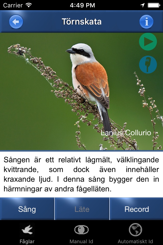 Fågelsång Id - fåglar screenshot 2