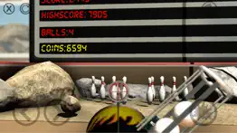 pin game - pinball bowling iphone resimleri 2