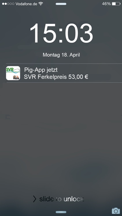 Pig-App