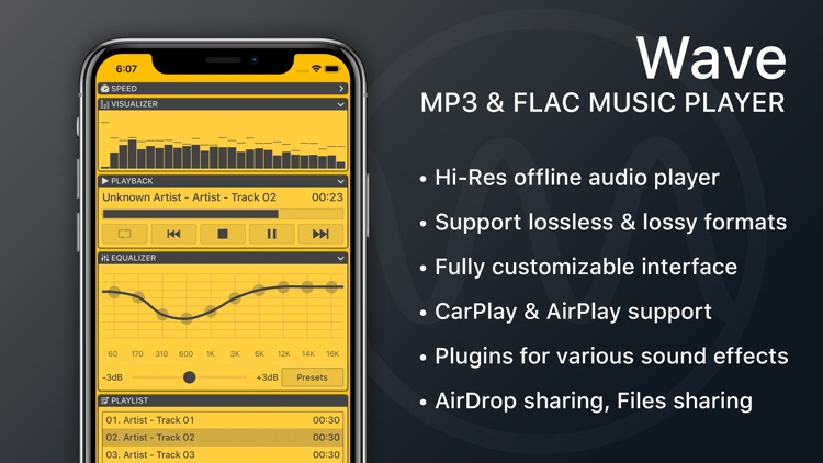 Сайт flac. Music Player. Плеер для флак. Wave или mp3. FLAC музыка.