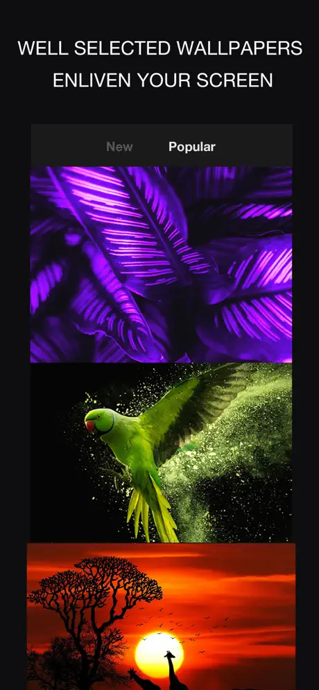 24KLiveWallpapers