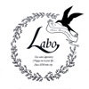 Hair Designing. Labo.　公式アプリ all about web designing 