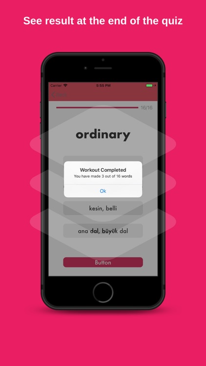 Vocabulary Builder YDS screenshot-3